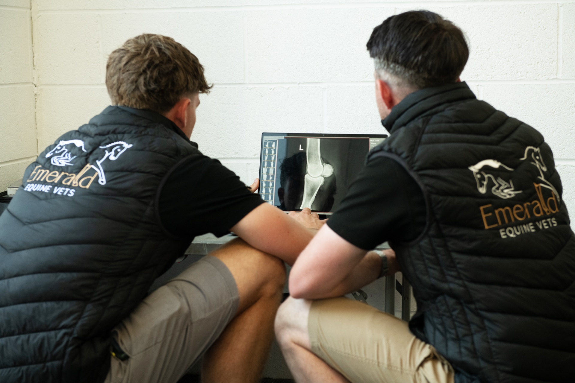 Vets reviewing X-rays together
