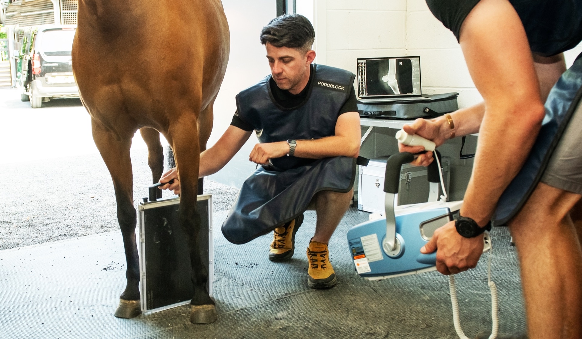 Vet taking digital X-ray of a horse