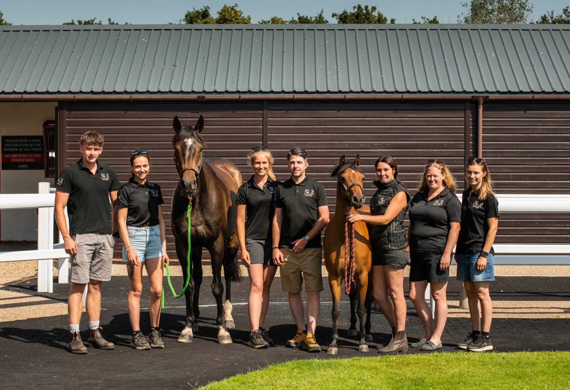 Emerald Equine Vets full team outside