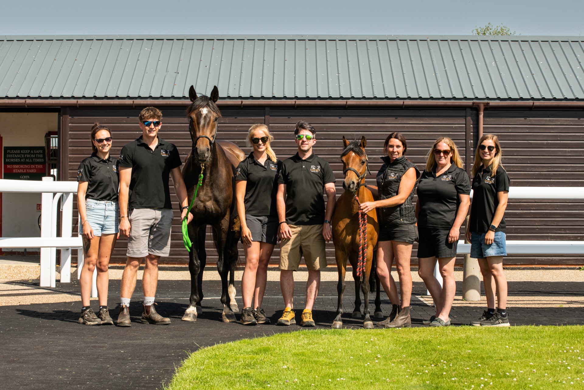 The Emerald Equine Vets team with horses