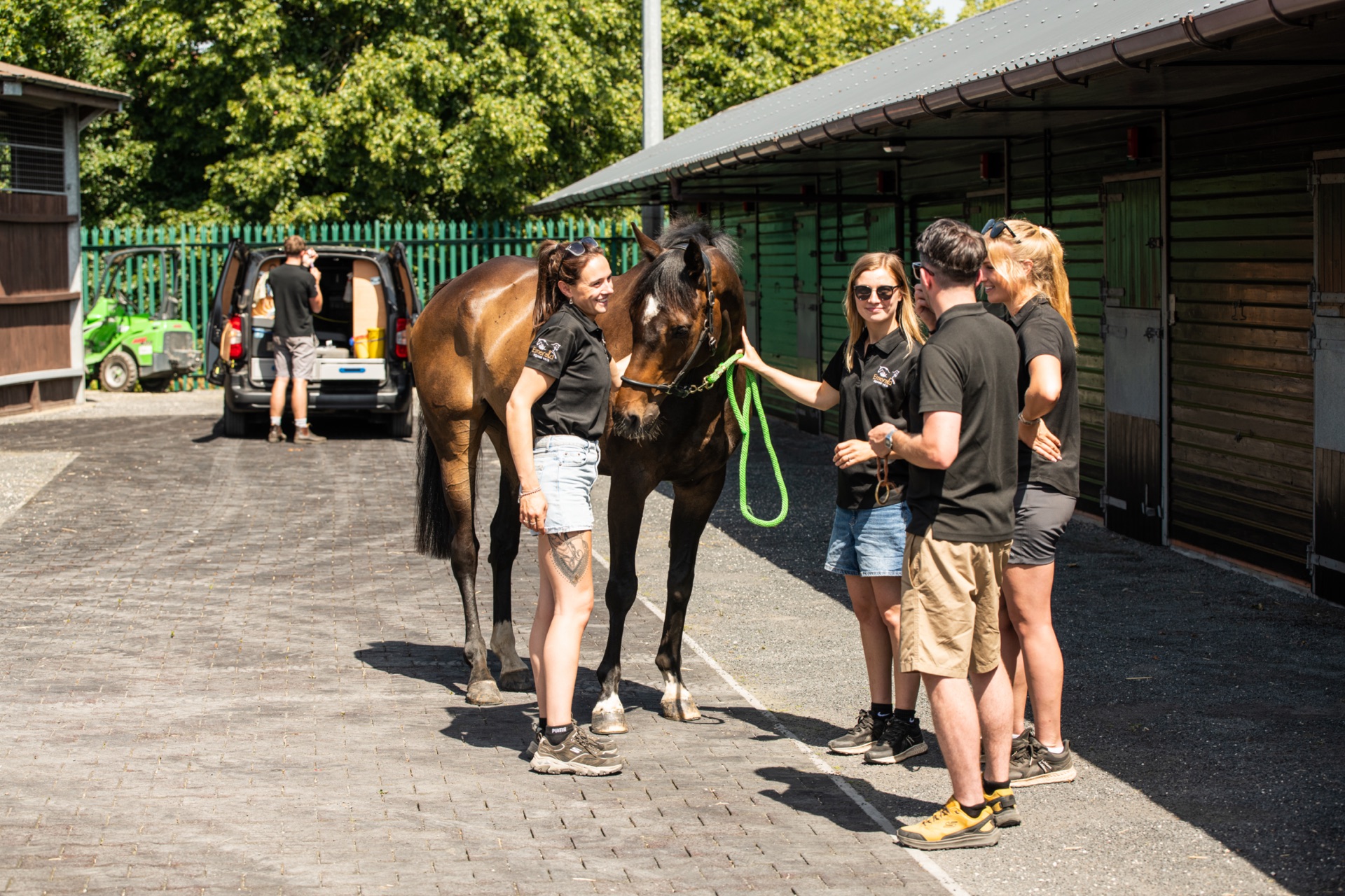 Vet team at a stable yard